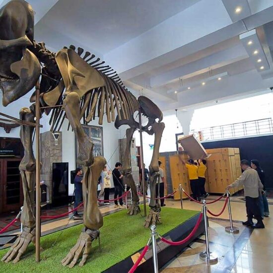 Exhibition Logistics for Goethe-Institut Germany: From Jakarta to Museum Geologi, Bandung