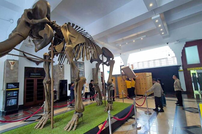 Exhibition Logistics for Goethe-Institut Germany: From Jakarta to Museum Geologi, Bandung